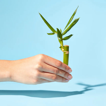 Caboo Tree-Free Bamboo Paper Towels