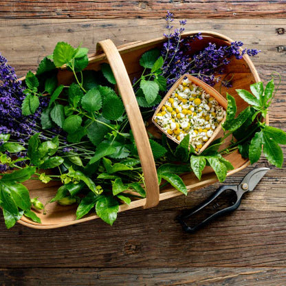 Traditional Medicinals Chamomile & Lavender Tea