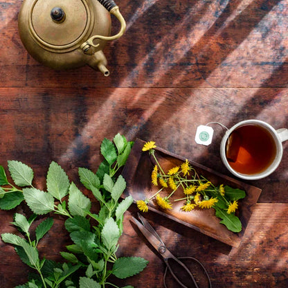 Traditional Medicinal Dandelion Leaf & Root Tea 1 Box