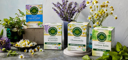 Traditional Medicinal Lemon Balm Tea