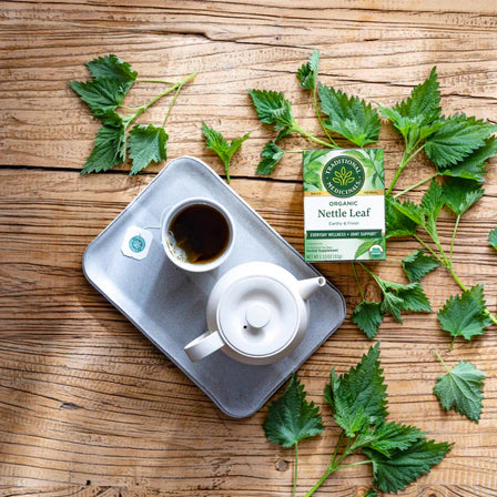 Traditional Medicinals Nettle Leaf Tea 1 Box