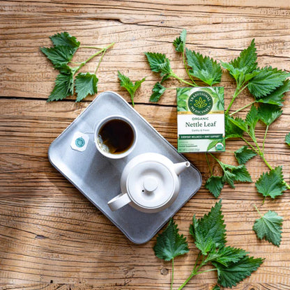 Traditional Medicinals Nettle Leaf Tea 1 Box