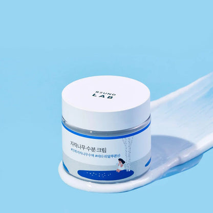 ROUND LAB Birch Juice Moisturizing Cream 2.7 Fl Oz, 48-Hour Deep Hydrating Face Moisturizer with Birch Sap & Vita Hyaluronic Acid for Acne-Prone Skin