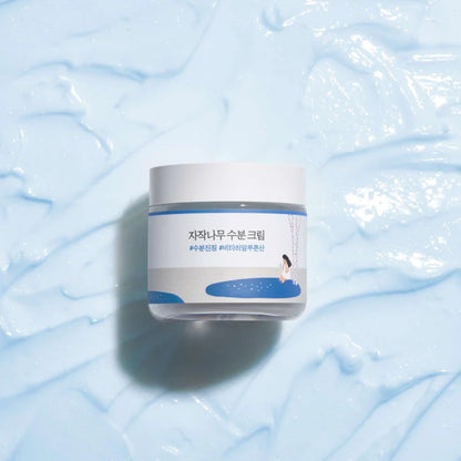 ROUND LAB Birch Juice Moisturizing Cream 2.7 Fl Oz, 48-Hour Deep Hydrating Face Moisturizer with Birch Sap & Vita Hyaluronic Acid for Acne-Prone Skin