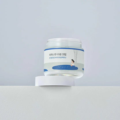 ROUND LAB Birch Juice Moisturizing Cream 2.7 Fl Oz, 48-Hour Deep Hydrating Face Moisturizer with Birch Sap & Vita Hyaluronic Acid for Acne-Prone Skin