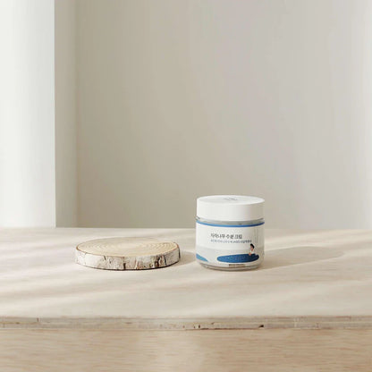 ROUND LAB Birch Juice Moisturizing Cream 2.7 Fl Oz, 48-Hour Deep Hydrating Face Moisturizer with Birch Sap & Vita Hyaluronic Acid for Acne-Prone Skin